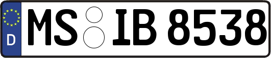 MS-IB8538