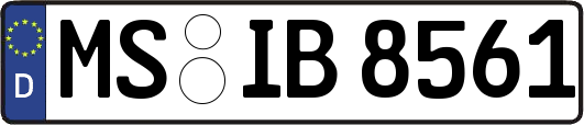 MS-IB8561