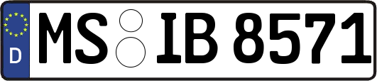 MS-IB8571