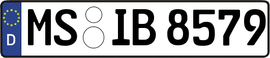 MS-IB8579