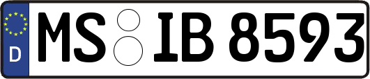MS-IB8593