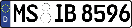 MS-IB8596