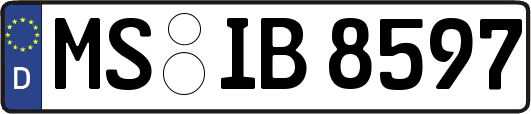 MS-IB8597