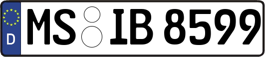 MS-IB8599