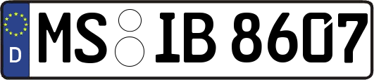 MS-IB8607