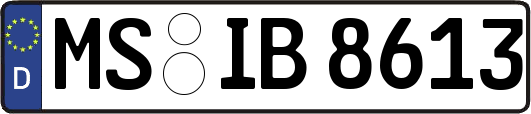 MS-IB8613
