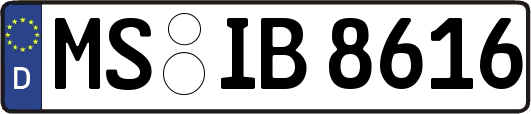MS-IB8616