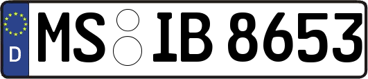 MS-IB8653
