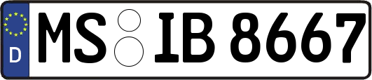 MS-IB8667