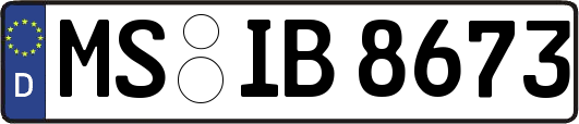 MS-IB8673