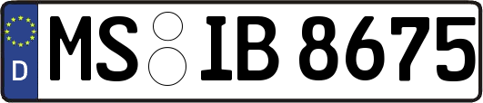 MS-IB8675