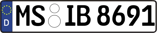 MS-IB8691