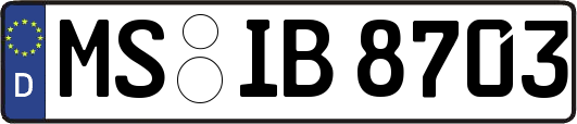 MS-IB8703