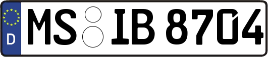 MS-IB8704