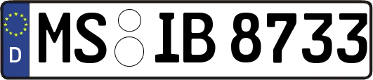 MS-IB8733