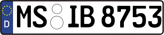 MS-IB8753