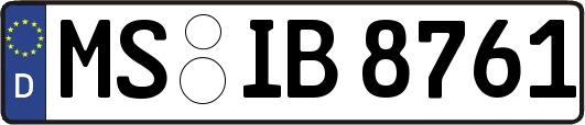 MS-IB8761