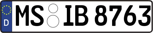 MS-IB8763