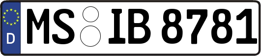 MS-IB8781