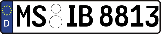 MS-IB8813