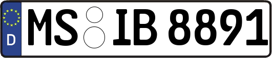 MS-IB8891
