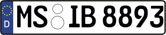 MS-IB8893