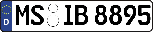MS-IB8895