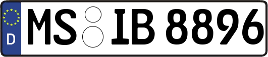 MS-IB8896