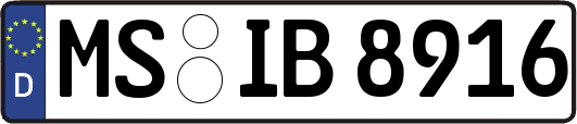 MS-IB8916