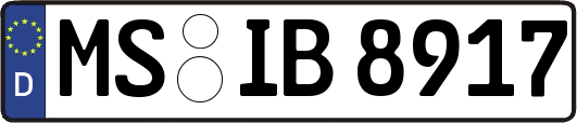 MS-IB8917