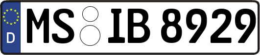 MS-IB8929