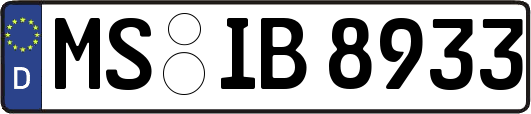 MS-IB8933