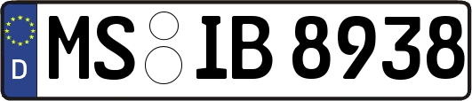 MS-IB8938