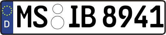 MS-IB8941