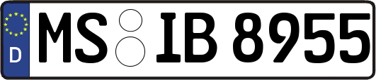 MS-IB8955