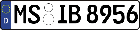 MS-IB8956