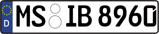 MS-IB8960