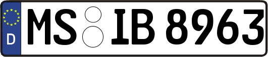 MS-IB8963