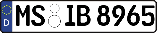 MS-IB8965