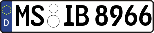 MS-IB8966