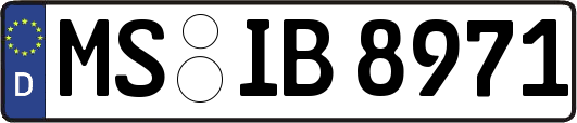 MS-IB8971