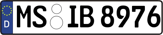 MS-IB8976