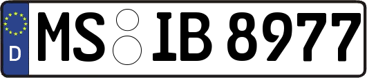 MS-IB8977