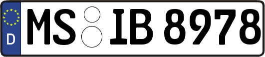 MS-IB8978