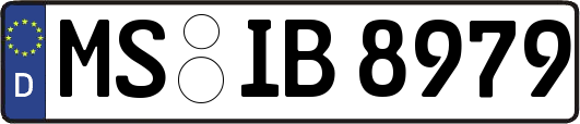 MS-IB8979