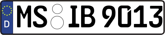 MS-IB9013