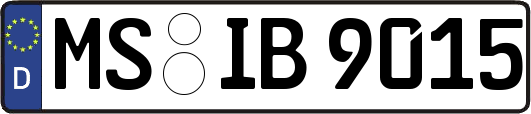 MS-IB9015