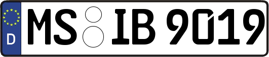 MS-IB9019