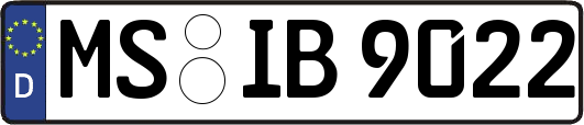 MS-IB9022