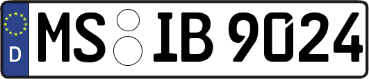 MS-IB9024